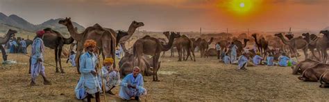 Pushkar Camel Fair Monumenti