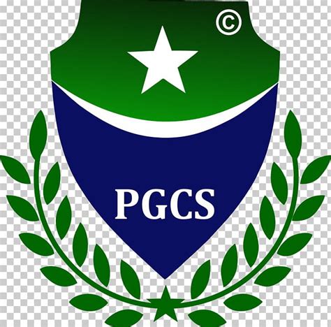 Organization Graphic PNG 的图像结果