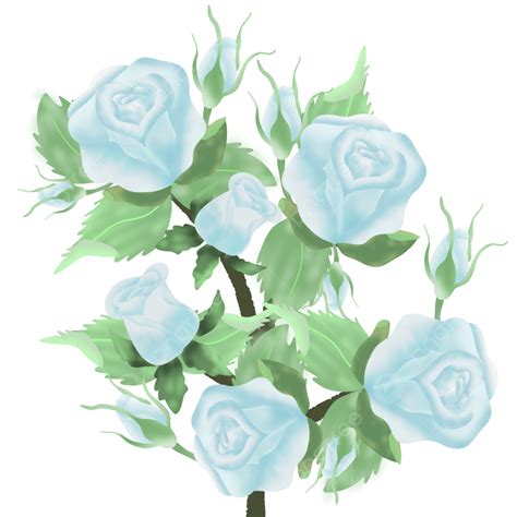 Flowers Blue Light Roses, Rose, Roses, Flowers PNG Transparent Clipart ...