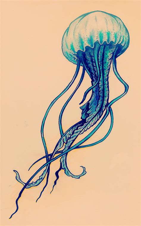 cute drawing jellyfish