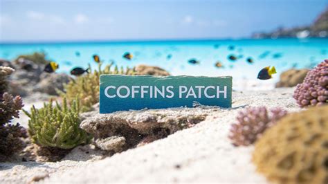 Coffins Patch Snorkeling: Discover Florida Reefs - Marathon Snorkeling ...