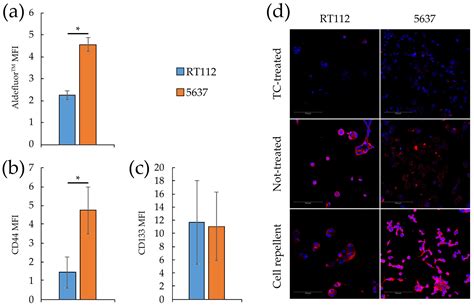 Profiling and Targeting of Energy and Redox Metabolism in Grade 2 ...