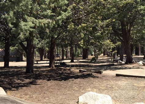 Hurkey Creek Park Camping | The Dyrt