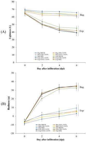 The Synergistic Effects of Environmental and Genetic Factors on the ...