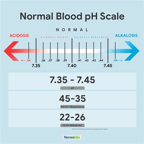 RES 101-Ch 7 Blood gases-TEST 7 Diagram | Quizlet