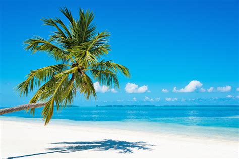 Image result for Beach Python Code