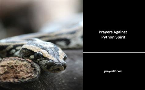 Spirit of Python Prayer 的图像结果