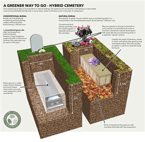 Why Green Burials | SouthCare Cremation & Funeral Society