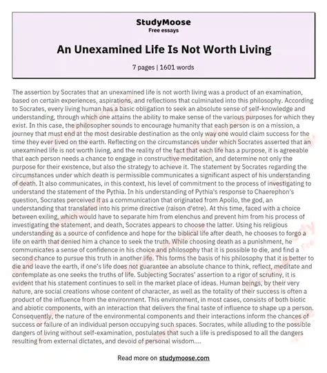 An Unexamined Life Is