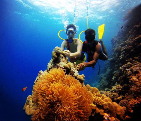 Bangaram Tourism (2026) India - Best Places to Visit in Bangaram ...