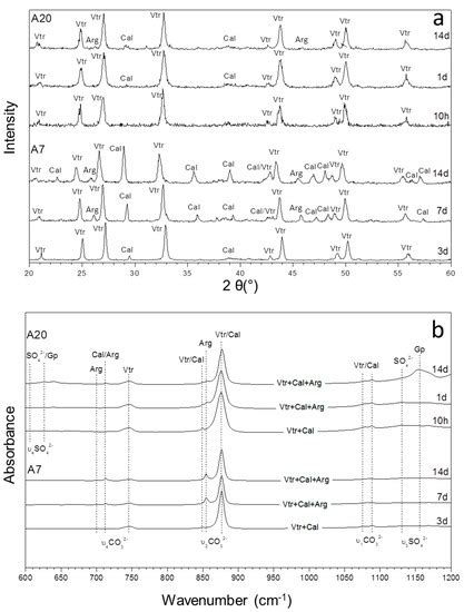 Precipitation of CaCO3 Polymorphs from Aqueous Solutions: The Role of ...