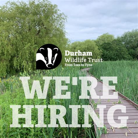 Durham Wildlife Trust on LinkedIn: ⏰ The deadline to apply for the ...