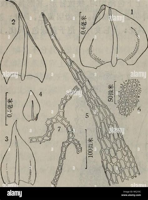 179 ac hi-res stock photography and images - Alamy