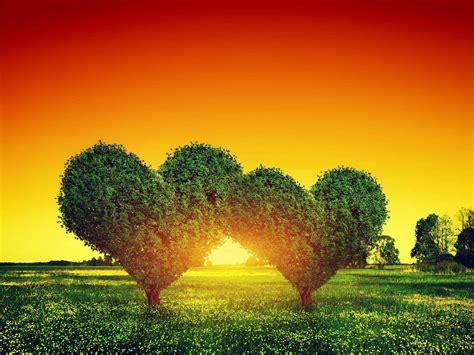 [200+] Nature Love Wallpapers | Wallpapers.com