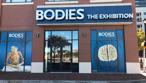 BODIES THE EXHIBITION (ATLANTA) (2026) All You Need to Know BEFORE You ...