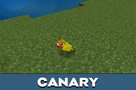 Image result for Minecraft Bird Mod