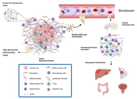 Emerging Role of Extracellular Vesicles and Cellular Communication in ...