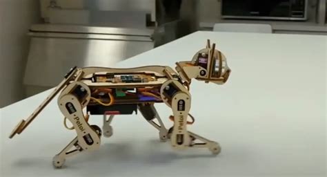 Raspberry Pie Computer Kids Project 的图像结果