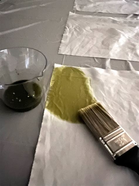 How to Cyanotype on Fabric with Tips and Project Ideas - Create Whimsy