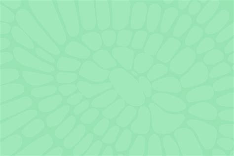 What is non-employee compensation? | Global HR glossary | Oyster