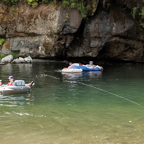 Moonshine Park Camping | The Dyrt