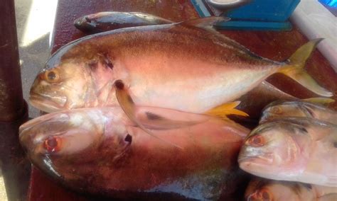 THE BEST Places to Visit in Lambeau (2025) - Must-See Attractions