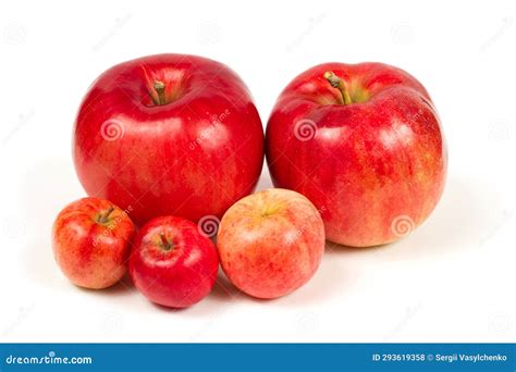 Family Of Apple