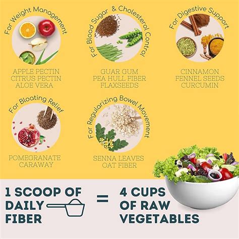 Buy Wellbeing Nutrition Daily Fiber Online at Best Price - Apex Supplements