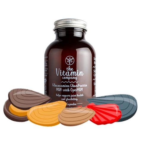 Glucosamine Chondroitin Msm With Optimsm
