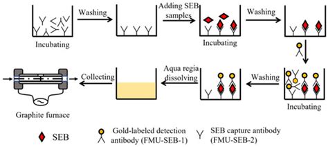 Development of a Gold Nanoparticle-Linked Immunosorbent Assay of ...