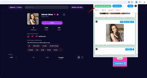 Redgifs.com/Github 的图像结果