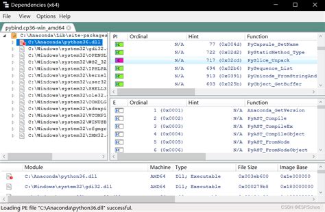 Python 313 Dll 的图像结果