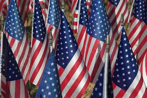 Aerica Flag 的图像结果