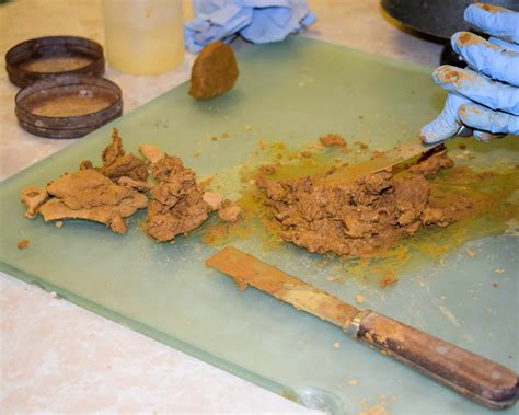 Geotechnical Soil Testing Methods 的图像结果