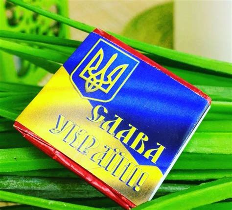 Галерея – Шоко лого