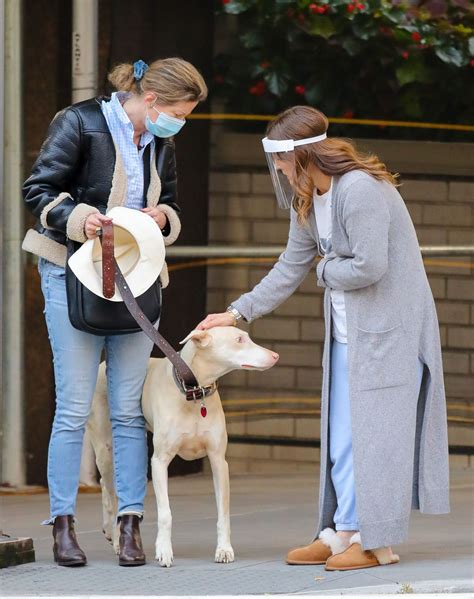 DREW BARRYMORE Comes to the Rescue of a New Yorker Whose Dog was ...