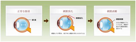 Image result for JavaScript Website O'Reilly