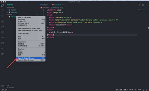 Visual Studio Code HTML Deutsch 的图像结果