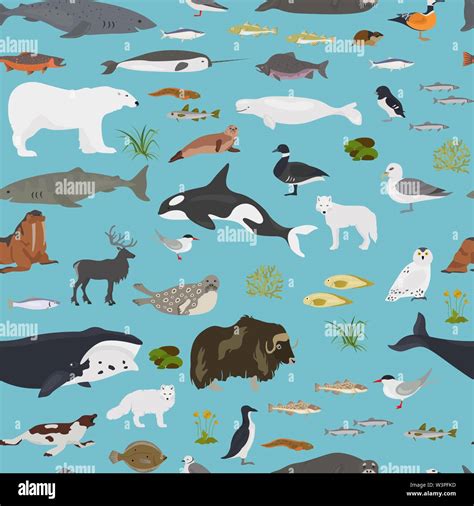 Arctic Ocean Animals And Plants