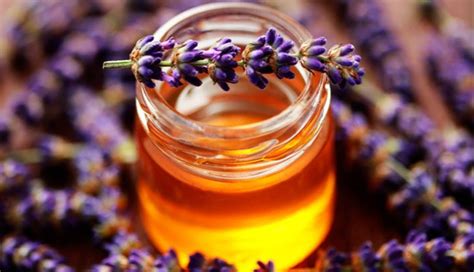 10 Types Of Honey: What, How, And Why Should You Know About Them ...