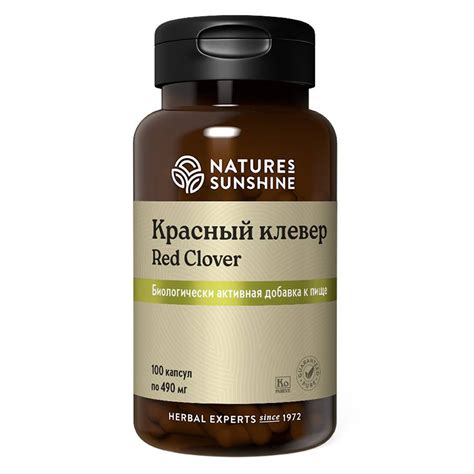 Купить Красный Клевер НСП в Москве - инструкция, применение, состав