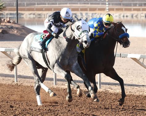 Reddam Racing's Pavlovian Gets the Nod in the Sunland Derby