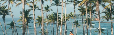 Sri Lanka 7 Days Tour with 4 Star Hotels and Private Transportation ...
