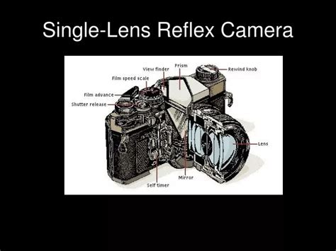 History of the Single-Lens Reflex Camera 的图像结果