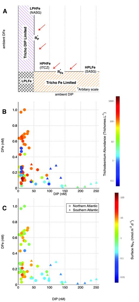 Image result for Resource Competition