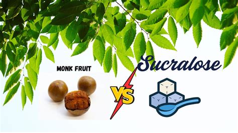 Monk Fruit vs Sucralose: Which Sweetener Is Better for You? – Vivid ...
