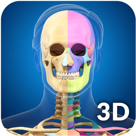 My Skeleton Anatomy - App on Amazon Appstore