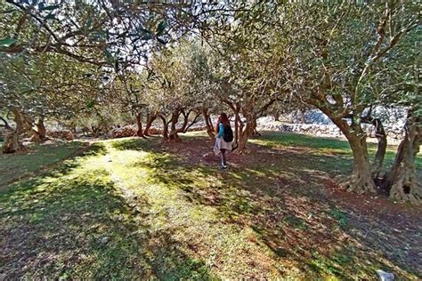 Cres Fun & More - Cres Island | Tripadvisor