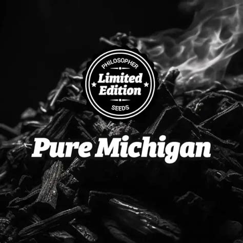 Pure Michigan, variété productive avec des têtes denses