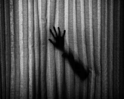 Download wallpaper 1280x1024 hand, shadow, silhouette, bw standard 5:4 ...